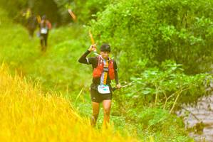 BIB: 1564, 
                            <button type="button" onclick="openModal(13456267)" class="btn btn-primary btn-sm float-right btn-popup" data-toggle="modal" data-target=".modal-high-quality">
                        <i class="fas fa-shopping-cart"></i> Add to Cart
                    </button>
                                            <button type="button" onclick="isThisMe(13456267, true)" class="btn btn-success btn-sm float-right btn-popup btn-isme hidden" data-toggle="tooltip" data-placement="bottom" title="นี่คือรูปของคุณใช่ไหม คลิกที่นี่เพื่อเอาเข้าอัลบั้ม">
                        <i class="fas fa-plus"></i> Add to album
                    </button>
                    <button type="button" onclick="isThisMe(13456267, false)" class="btn btn-warning btn-sm float-right btn-popup btn-isnotme hidden">
                        <i class="fas fa-ban"></i> Remove from album
                    </button>